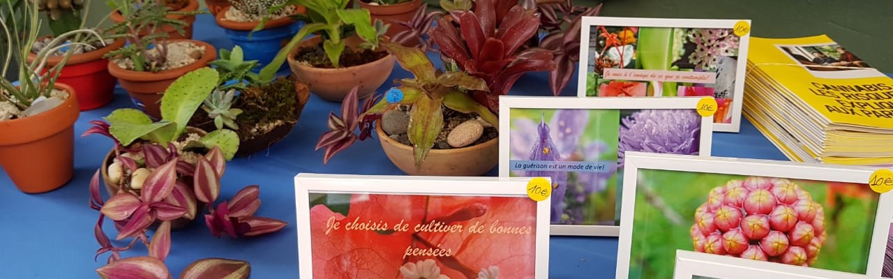 carte postale et jardin miniature en EXPO